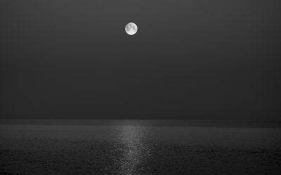 OHRANIMO UPANJE V TEŽKIH ČASIH