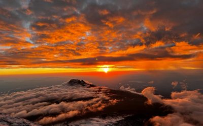 Kilimanjaro Piece of Cake 16. in 17.1