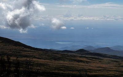 Jambo song, sestop in zmaga