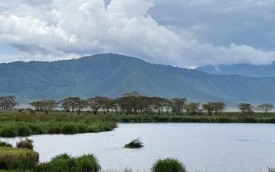 Arusha, safari in let na Zanzibar