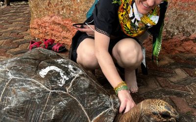 Izobraževanje o začimbah